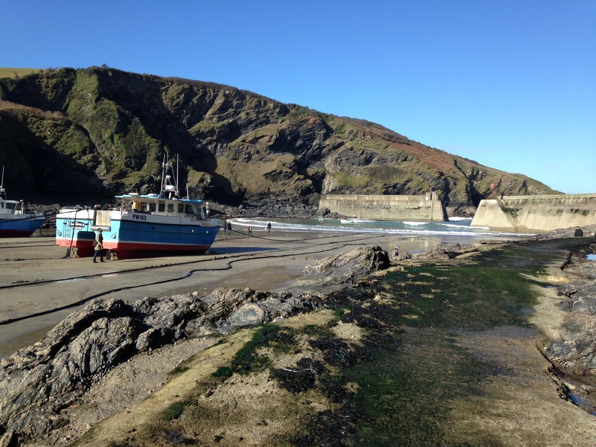 Terrace Tea Rooms Bed And Breakfast Port Isaac Buitenkant foto